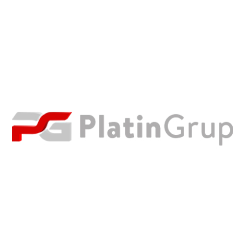 Platin Grup