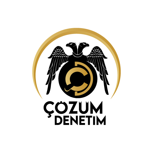 Çözüm Denetim